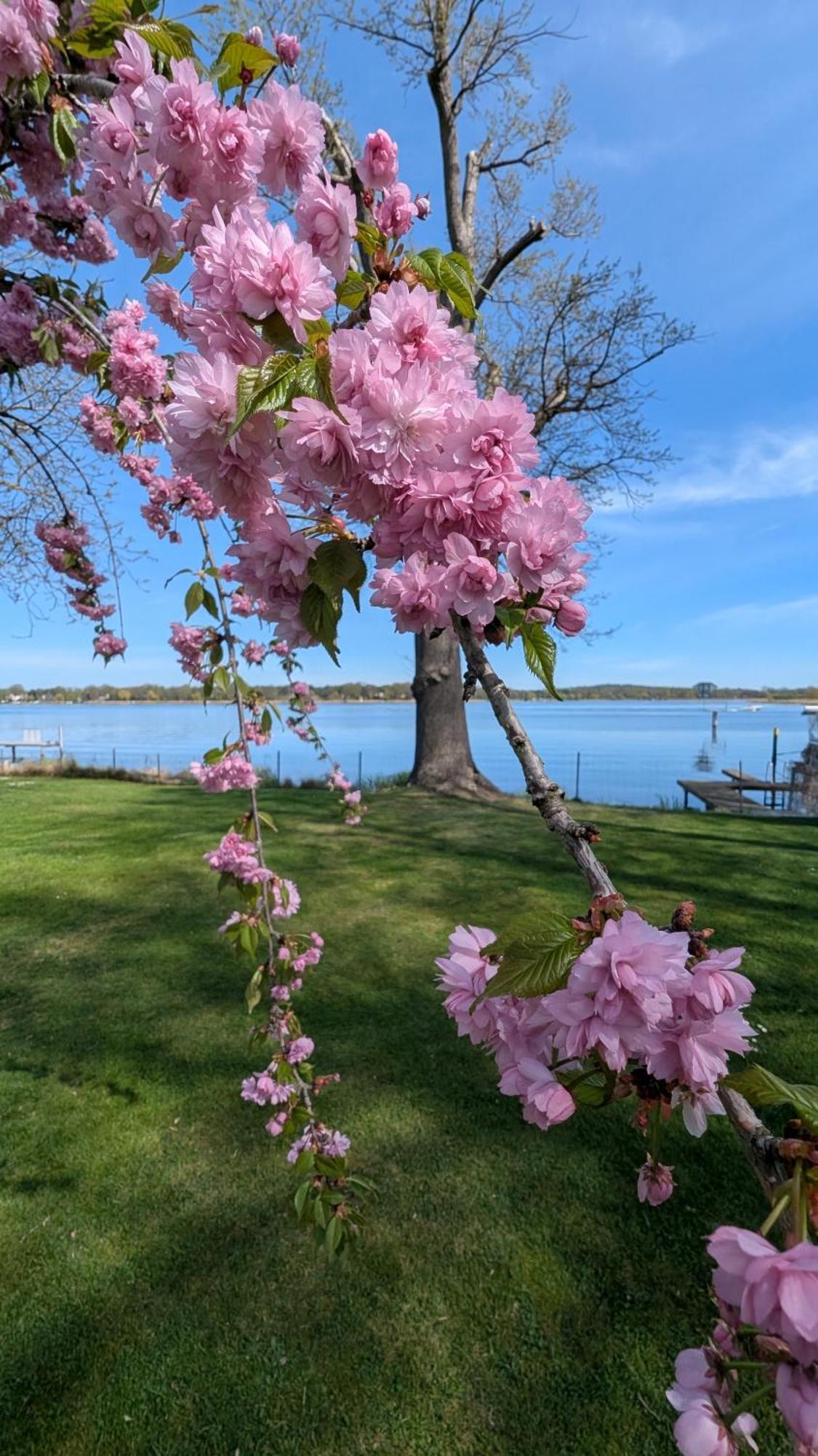 Casa Sul Lago Werder  Kültér fotó